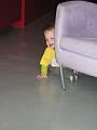 Imme 12 juni 2007 (1)